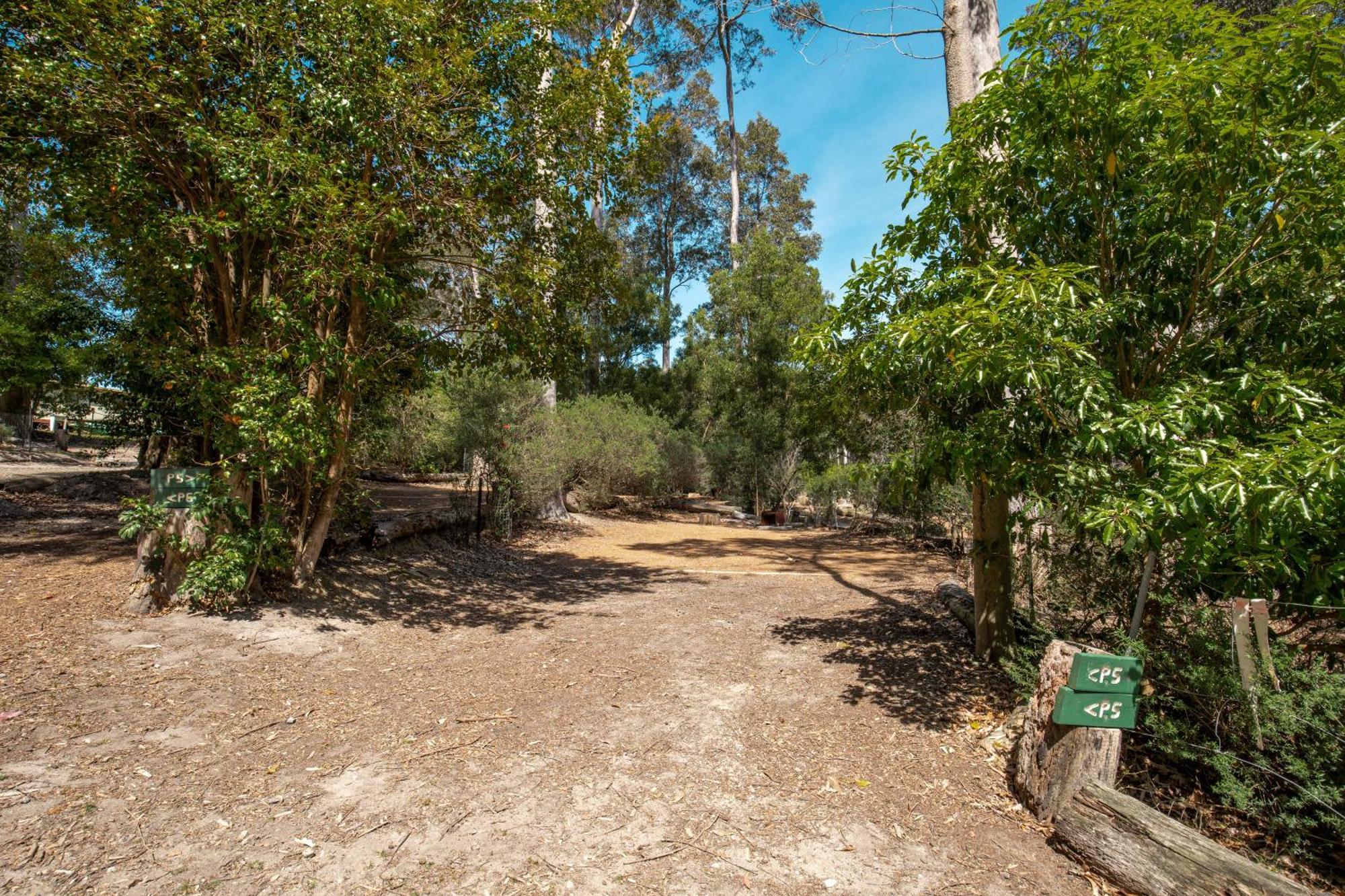 Durras Lake North Holiday Park Exterior foto